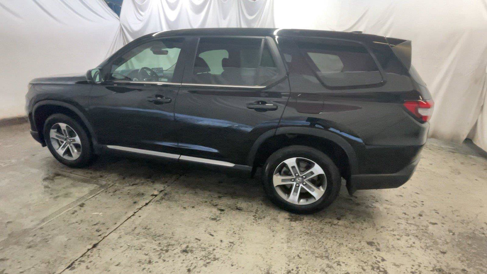 Certified 2025 Honda Pilot EX-L image 12