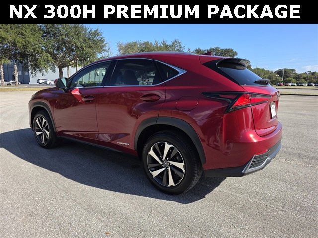 Used 2020 Lexus NX 300h AWD w/ Premium Package image 5
