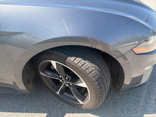 Used 2022 Ford Mustang EcoBoost w/ Equipment Group 101A image 7