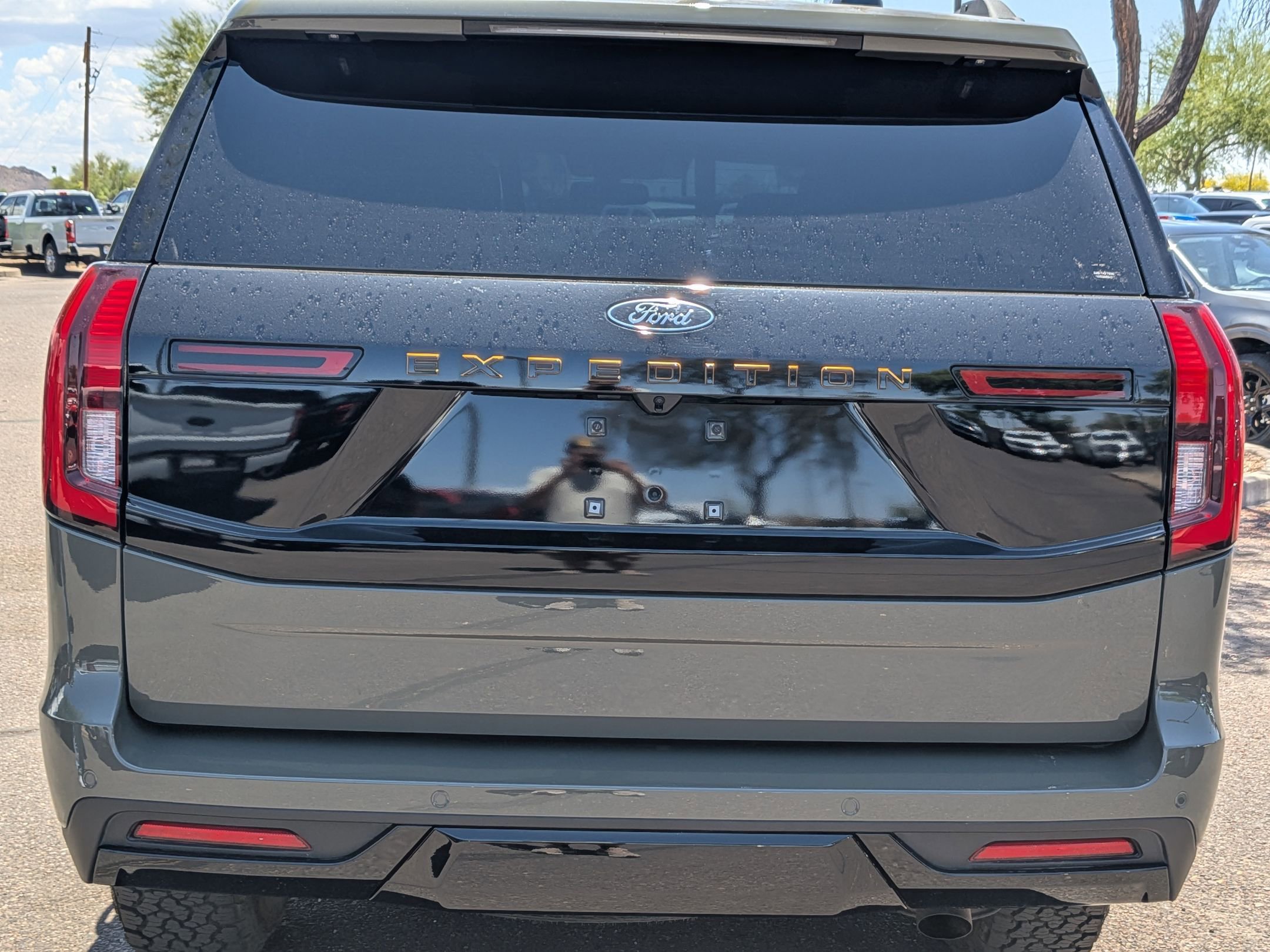 Used 2025 Ford Expedition Tremor AWD/4WD image 8