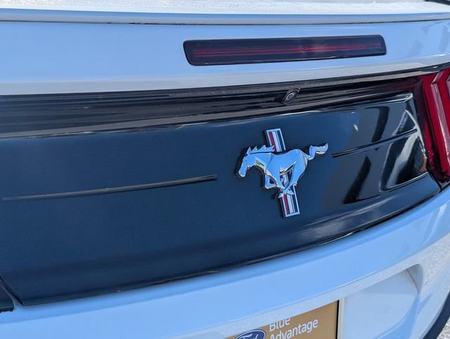 Certified 2021 Ford Mustang Premium w/ Equipment Group 201A image 10