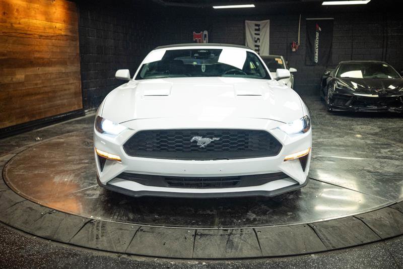 Used 2023 Ford Mustang Premium RWD image 4