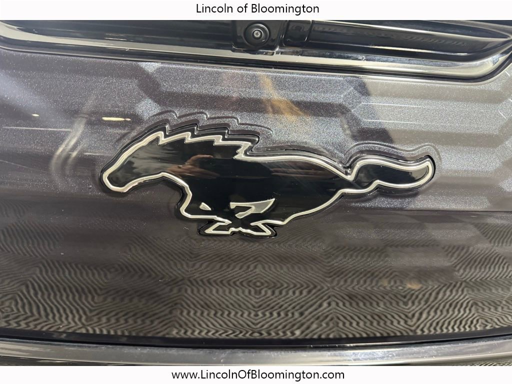Used 2024 Ford Mustang Mach-E GT image 10