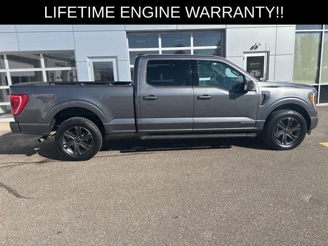 Used 2023 Ford F150 XLT w/ Equipment Group 302A High AWD/4WD image 7