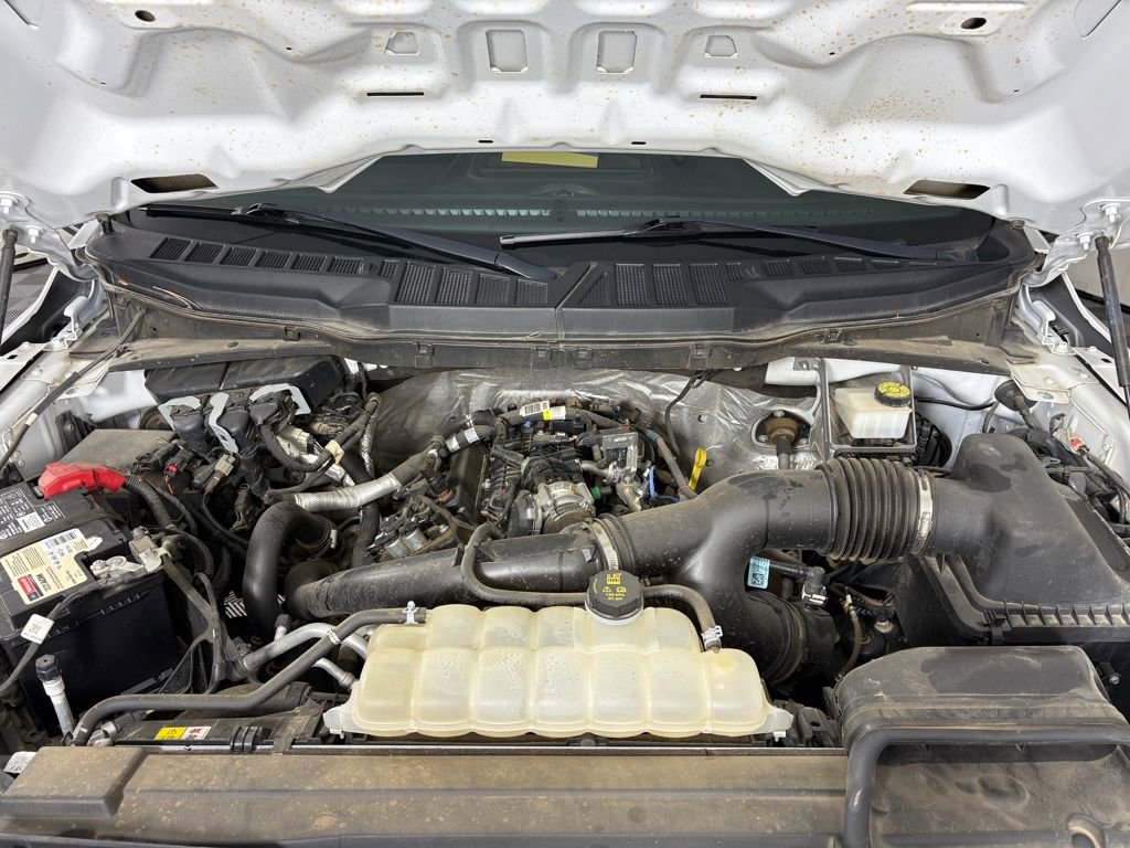 Certified 2023 Ford F150 XL w/ STX Appearance Package image 9