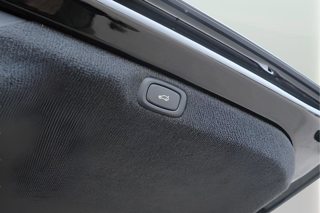 Used 2024 VinFast VF 9 Plus AWD/4WD image 25