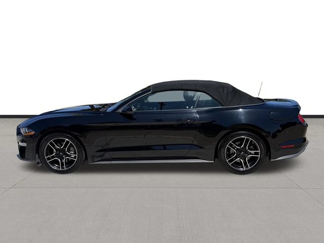 Used 2019 Ford Mustang Premium RWD image 8
