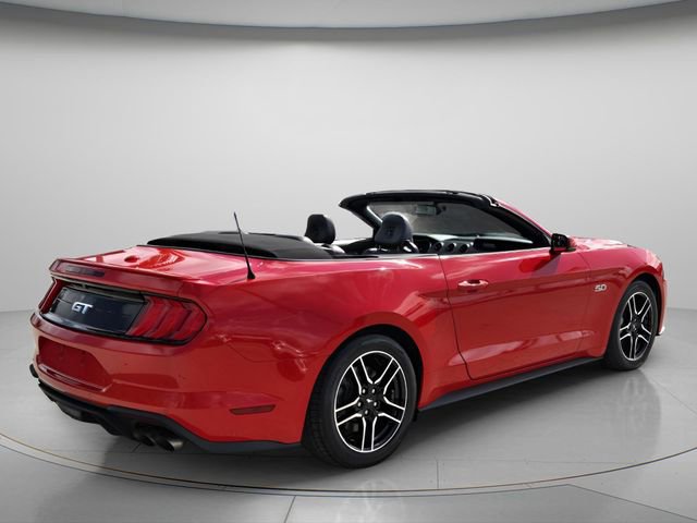 Used 2019 Ford Mustang GT Premium w/ Equipment Group 401A RWD image 7