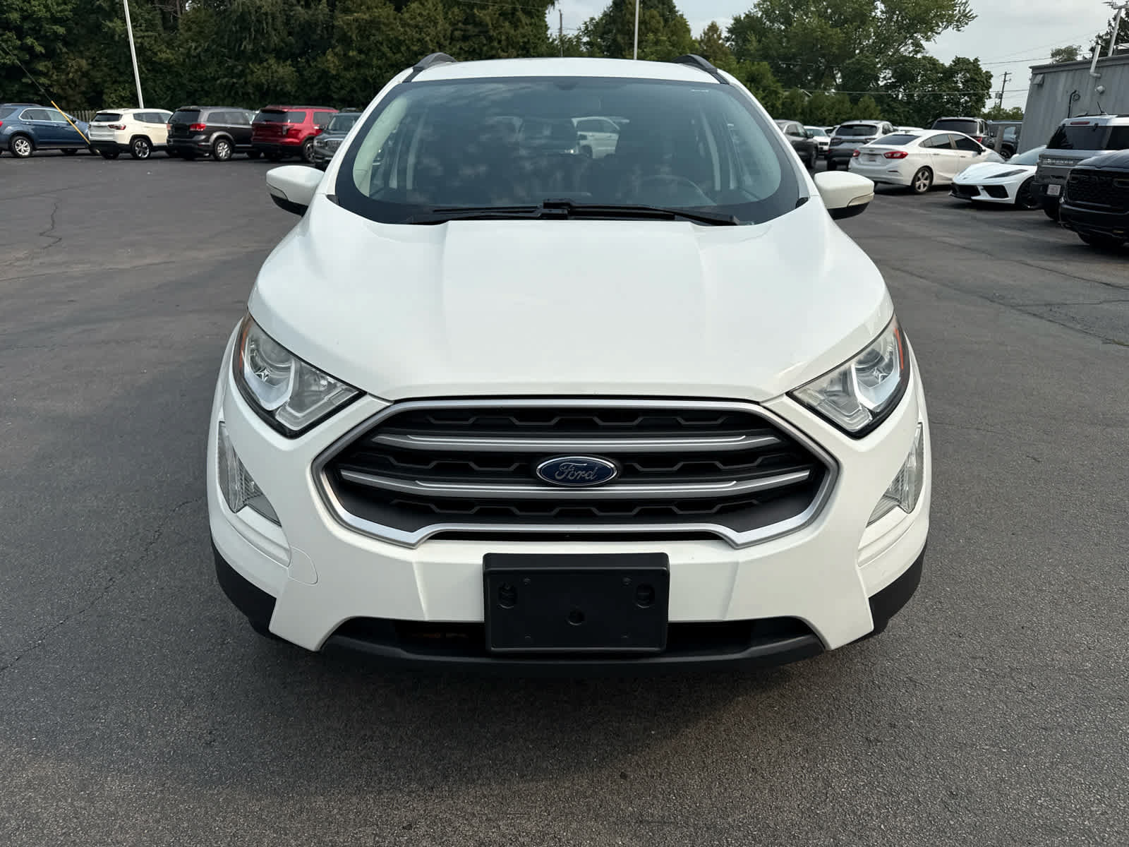 Used 2019 Ford EcoSport SE FWD image 8