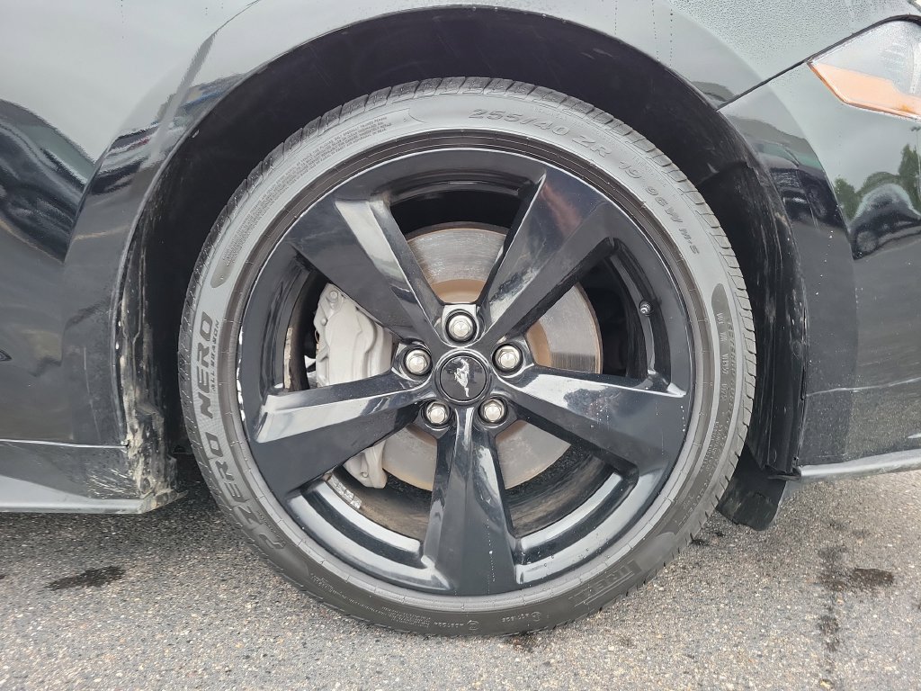 Used 2022 Ford Mustang GT w/ Equipment Group 301A RWD image 9