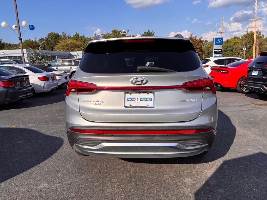 Used 2023 Hyundai Santa Fe Blue AWD/4WD image 6