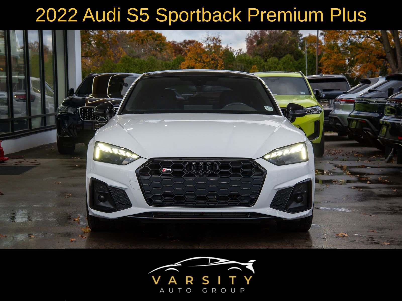 Used 2022 Audi S5 Premium Plus w/ Premium Plus Package image 2