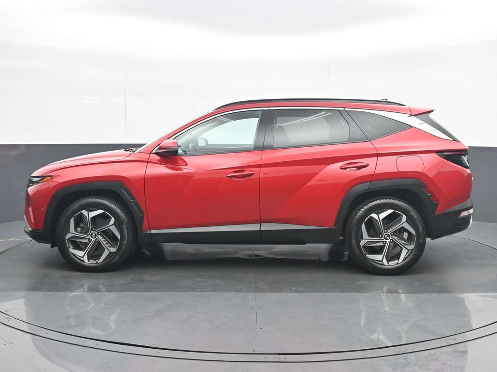 Used 2023 Hyundai Tucson Limited AWD/4WD image 3