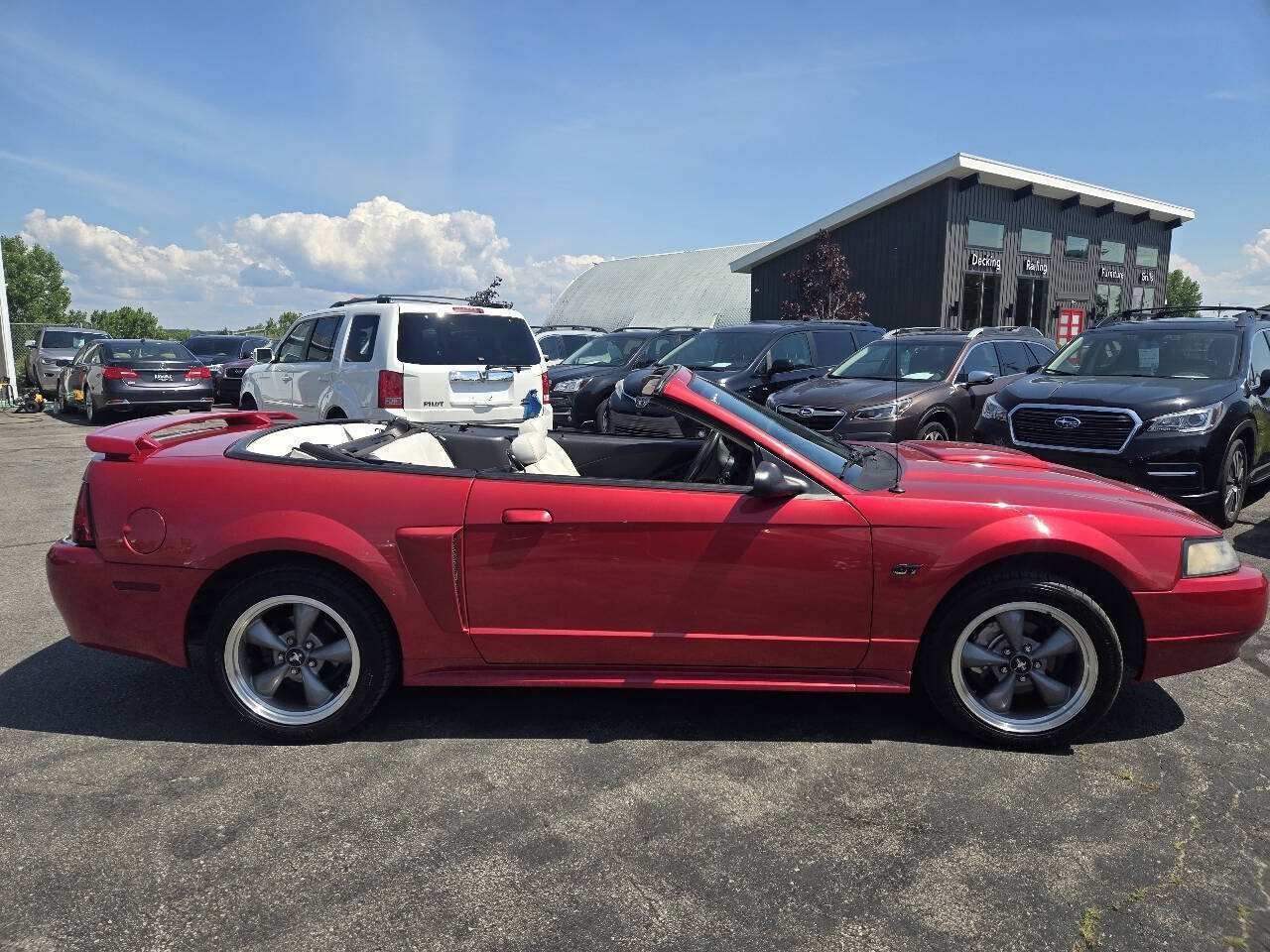 Used 2001 Ford Mustang GT RWD image 11