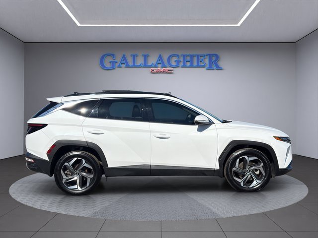 Used 2024 Hyundai Tucson Limited image 3