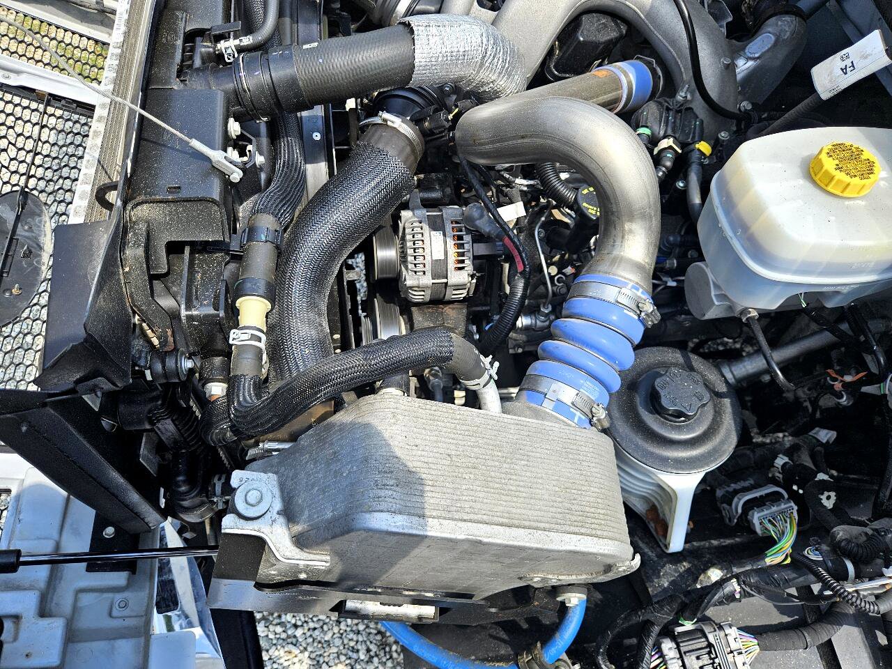 Used 2022 Ford F650 2WD Regular Cab Super Duty image 69