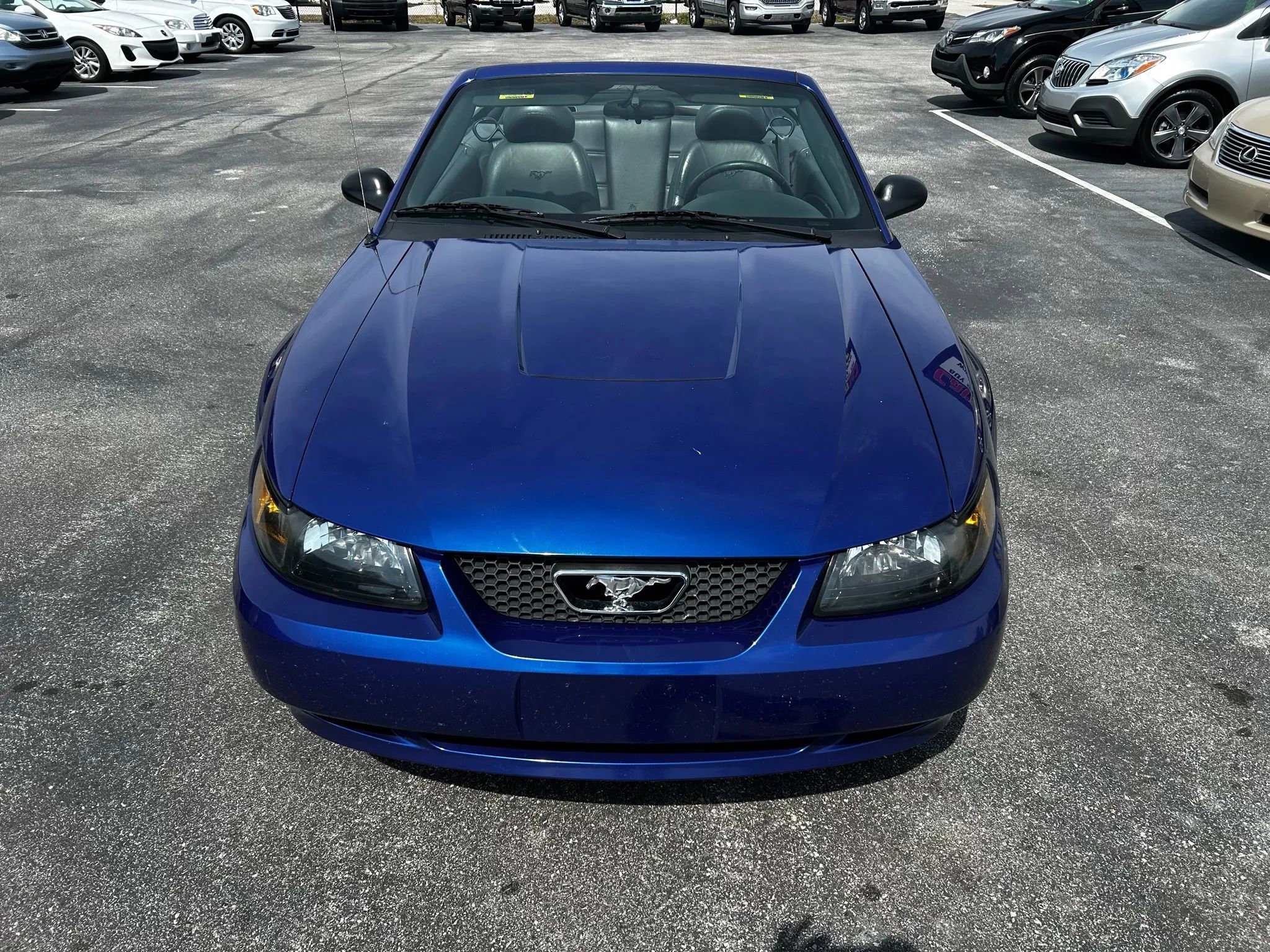 Used 2004 Ford Mustang Deluxe Convertible RWD image 7