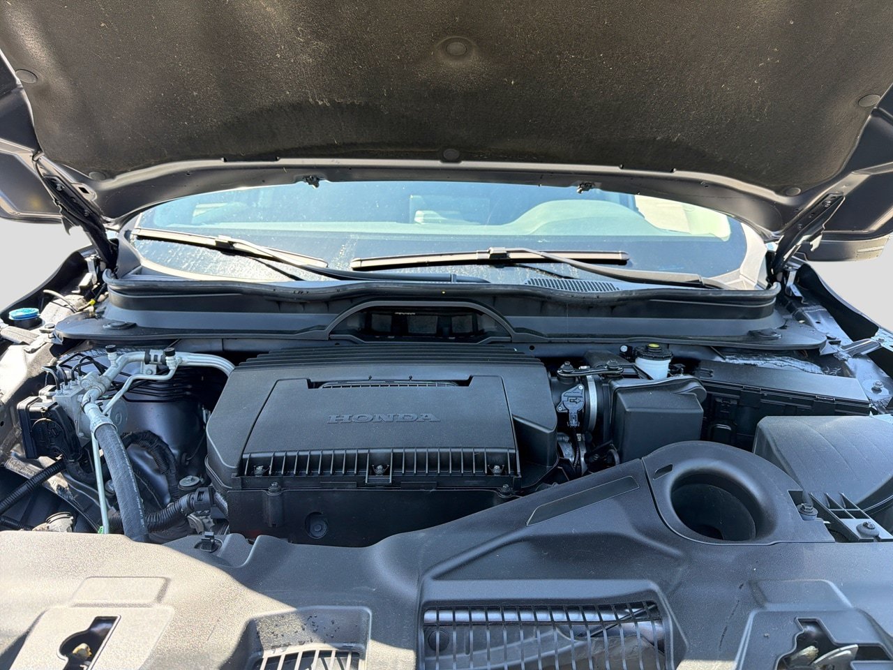 Used 2025 Honda Pilot EX-L image 15