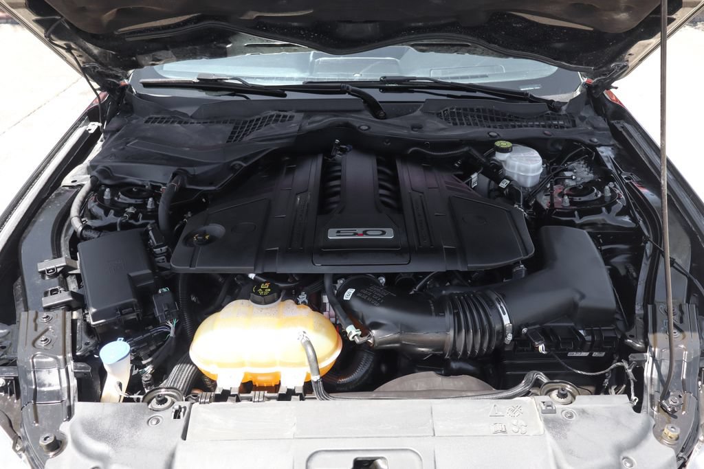 Used 2021 Ford Mustang GT w/ Equipment Group 301A RWD image 11