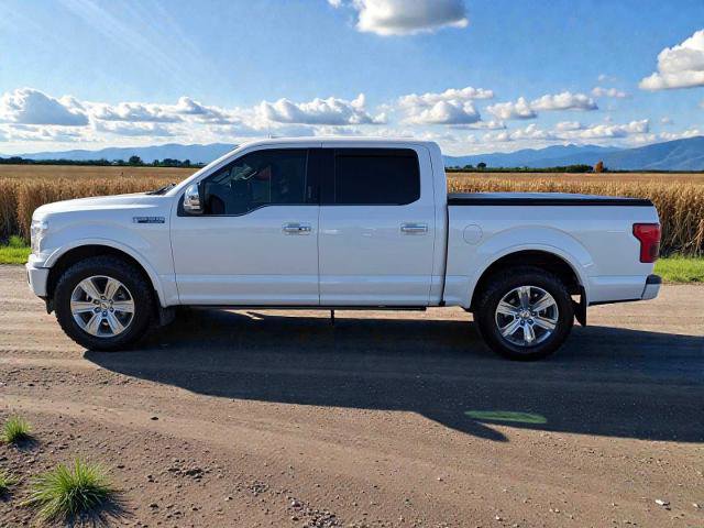 Certified 2019 Ford F150 Platinum w/ Technology Package image 3