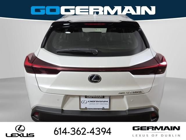 Used 2023 Lexus UX 250h 250h Premium image 10