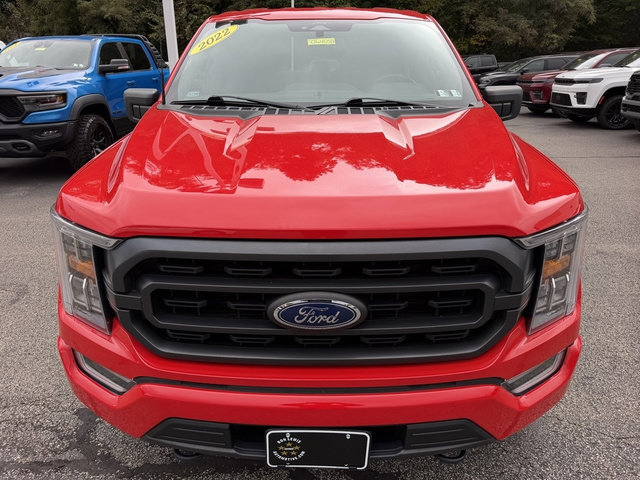 Used 2022 Ford F150 XLT w/ Equipment Group 302A High AWD/4WD image 11