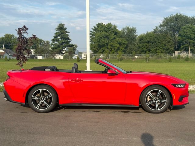 Used 2024 Ford Mustang Premium RWD image 17