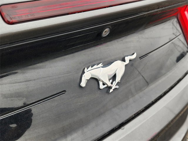 Used 2019 Ford Mustang Convertible w/ Equipment Group 101A image 9