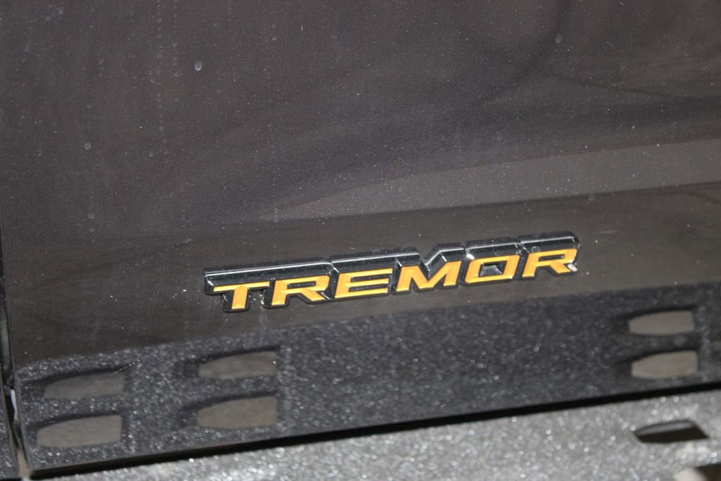 New 2025 Ford Expedition Tremor image 13