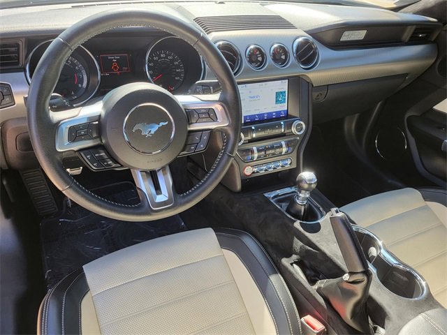 Used 2015 Ford Mustang 50 Years image 13