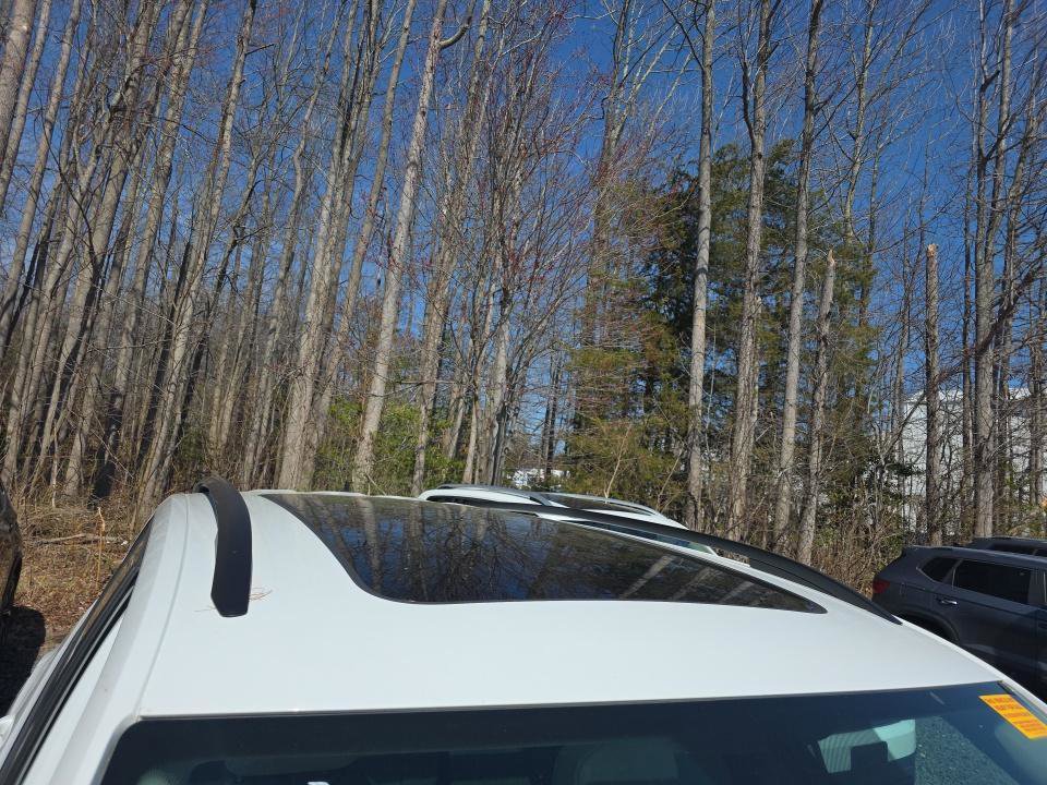 Used 2023 Volkswagen Atlas SE w/ Panoramic Sunroof Package image 7