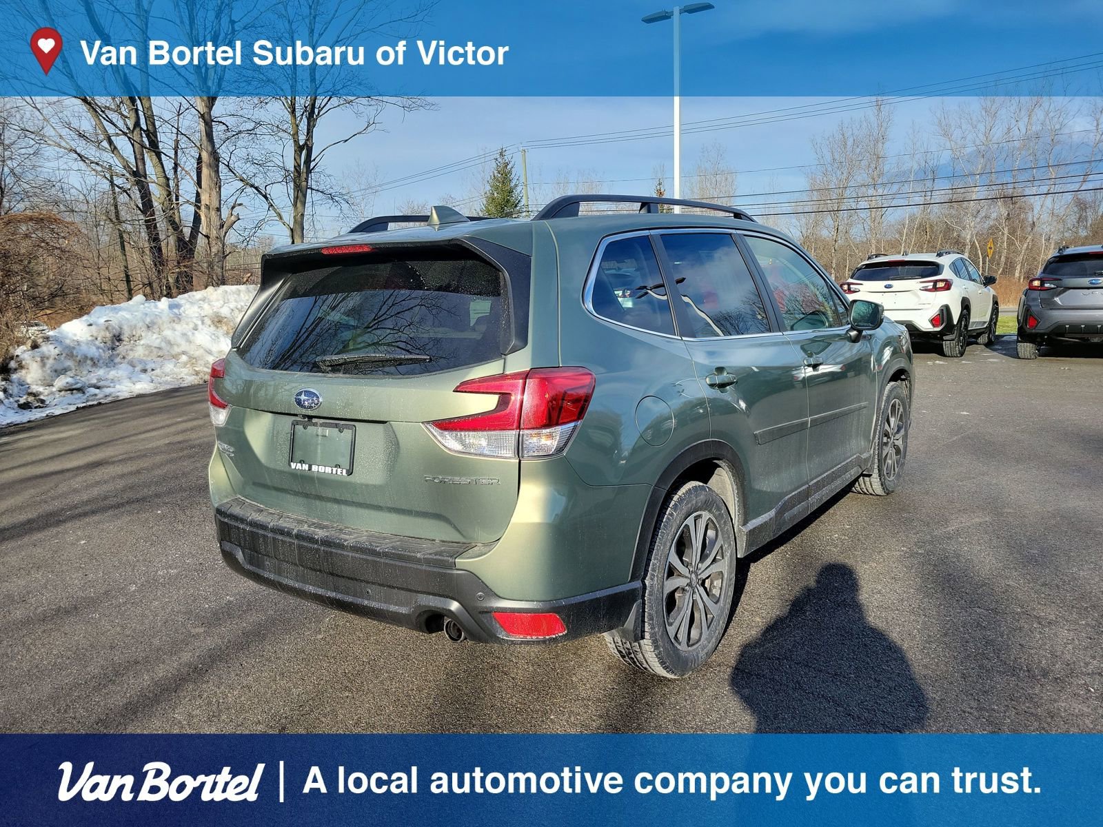 Used 2021 Subaru Forester Limited image 5