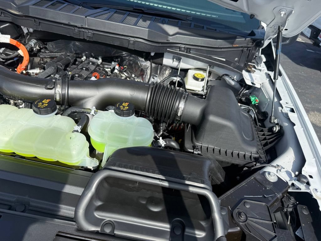 New 2026 Ford F150 STX w/ Equipment Group 200A AWD/4WD image 59