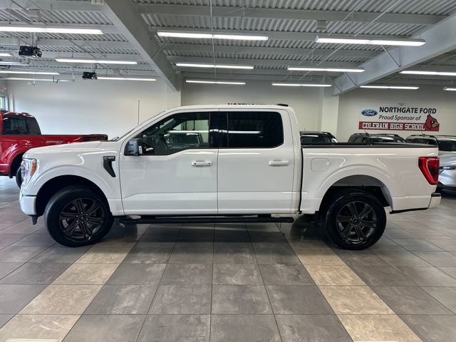 Used 2023 Ford F150 XLT w/ Equipment Group 302A High AWD/4WD image 18