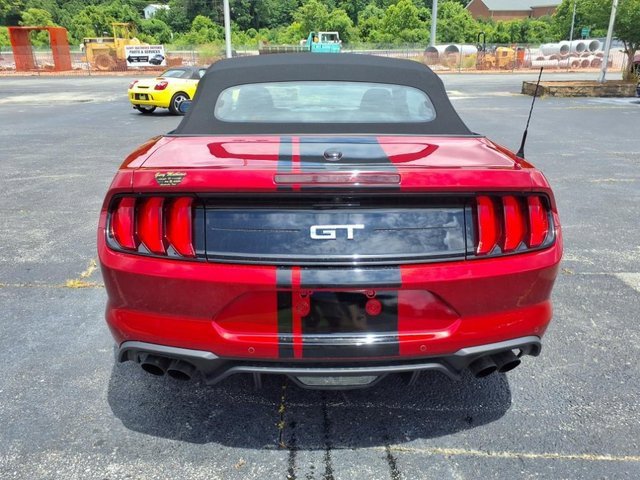 Used 2022 Ford Mustang GT Premium w/ Equipment Group 401A image 15