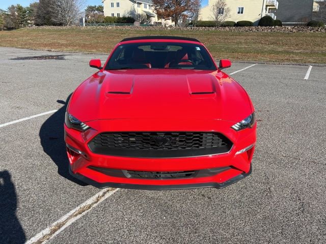 Certified 2019 Ford Mustang Premium w/ Equipment Group 201A image 2