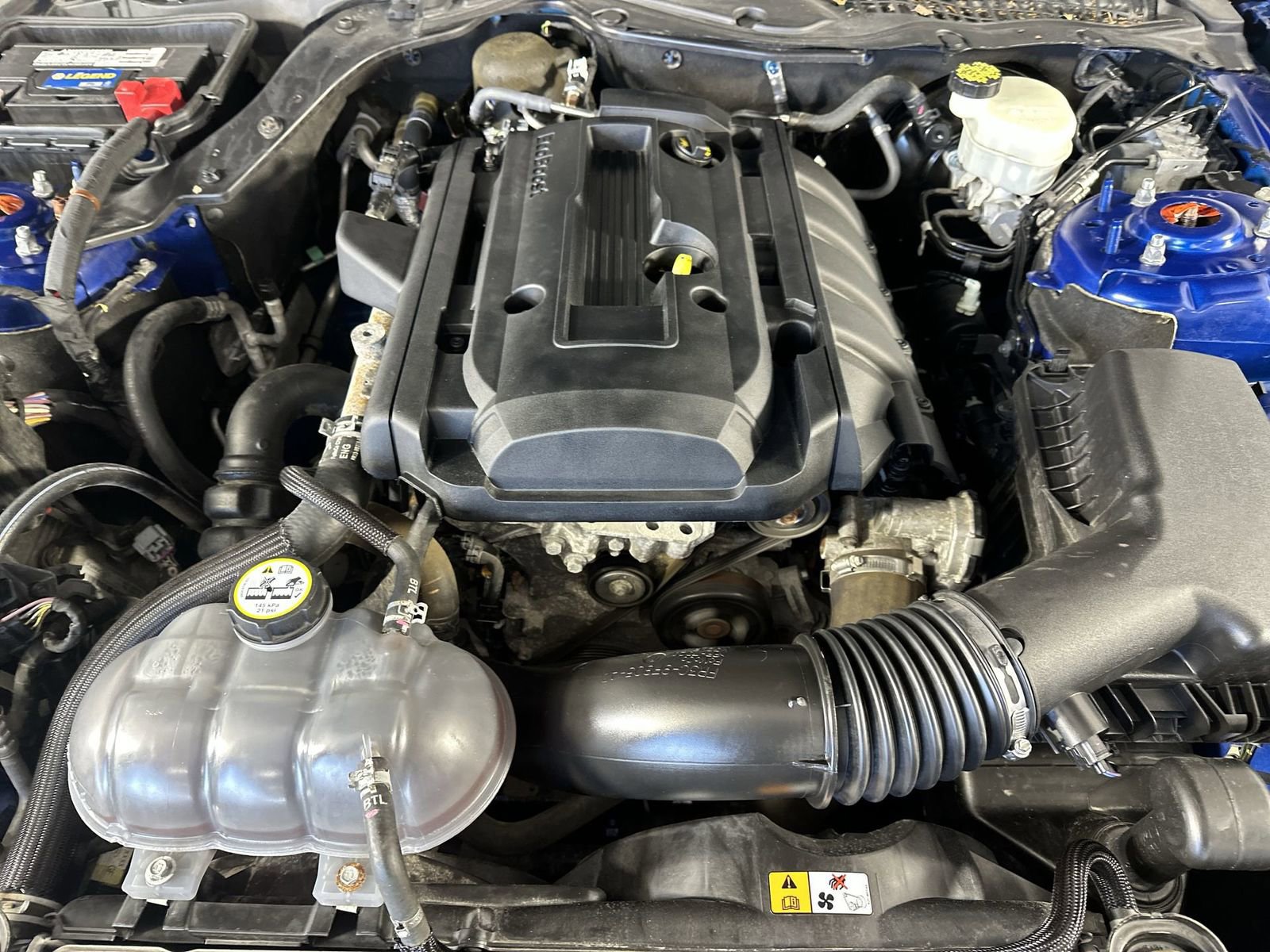 Used 2017 Ford Mustang EcoBoost image 31