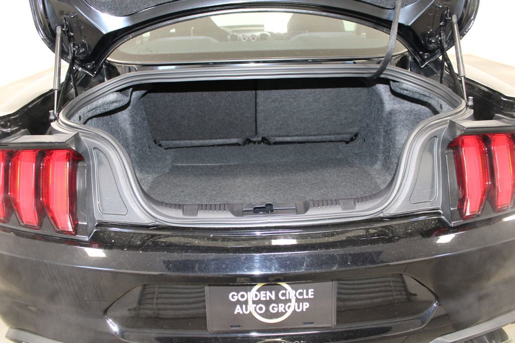 Used 2021 Ford Mustang Mach 1 image 14