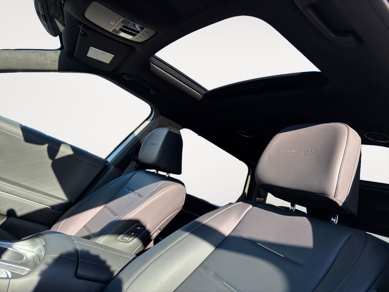 New 2026 Hyundai Palisade Calligraphy image 15