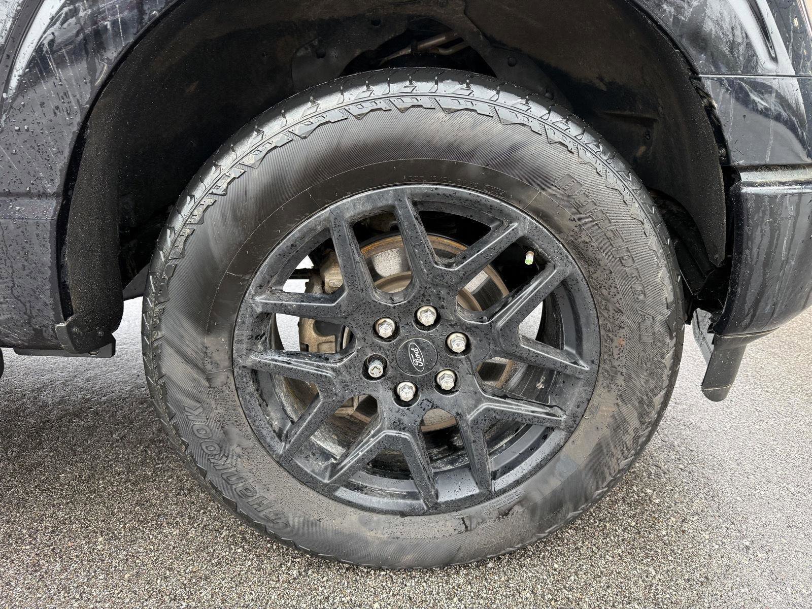 Used 2024 Ford F150 STX w/ STX Black Appearance Package image 13