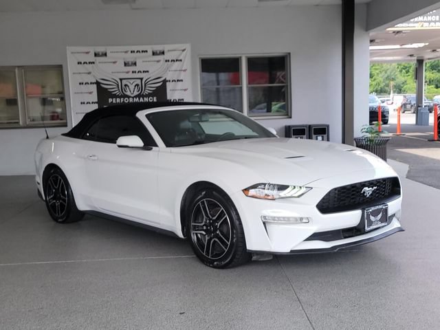 Used 2019 Ford Mustang Premium RWD image 30