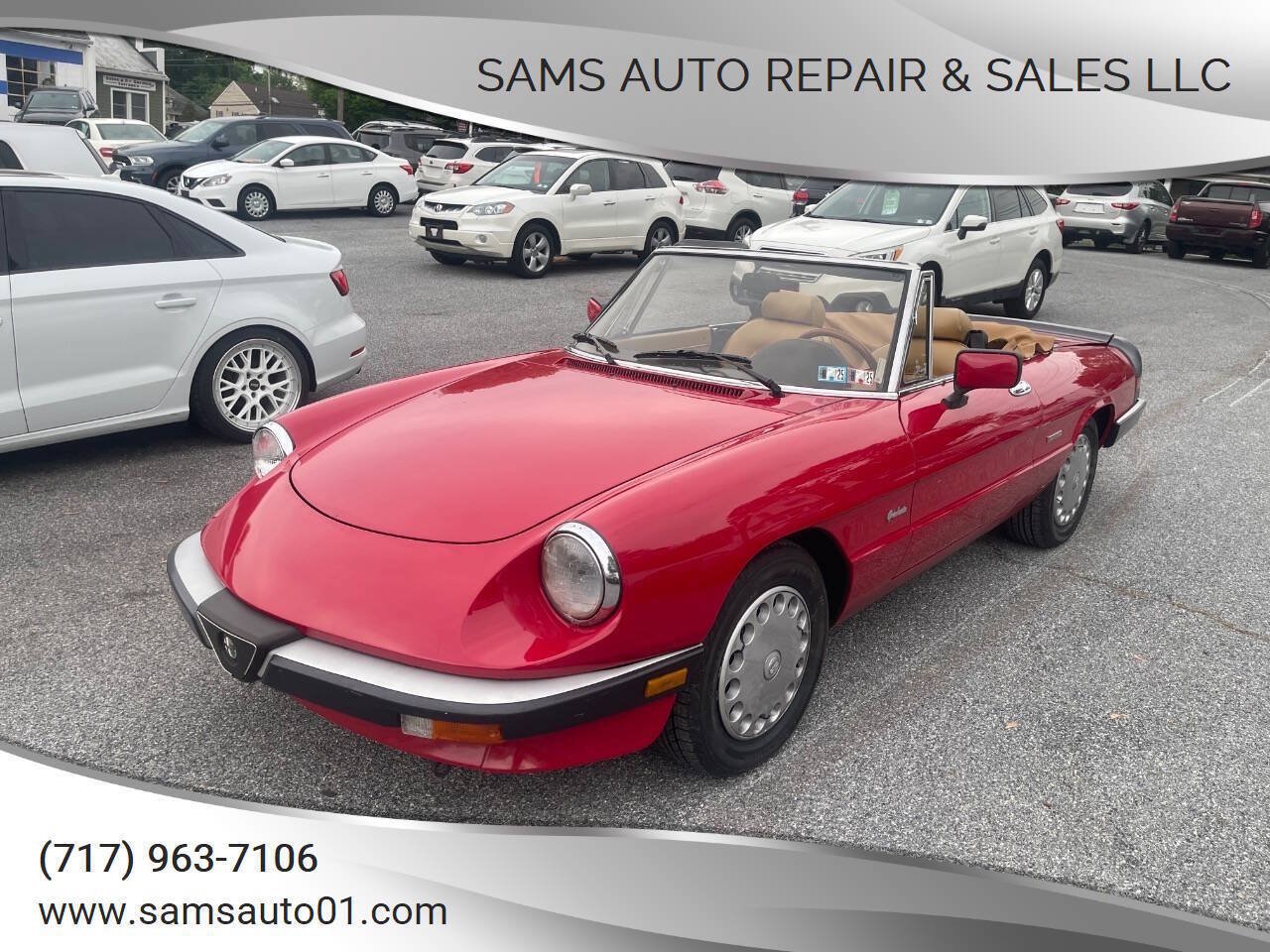 Used 1990 Alfa Romeo Spider Graduate RWD image 1