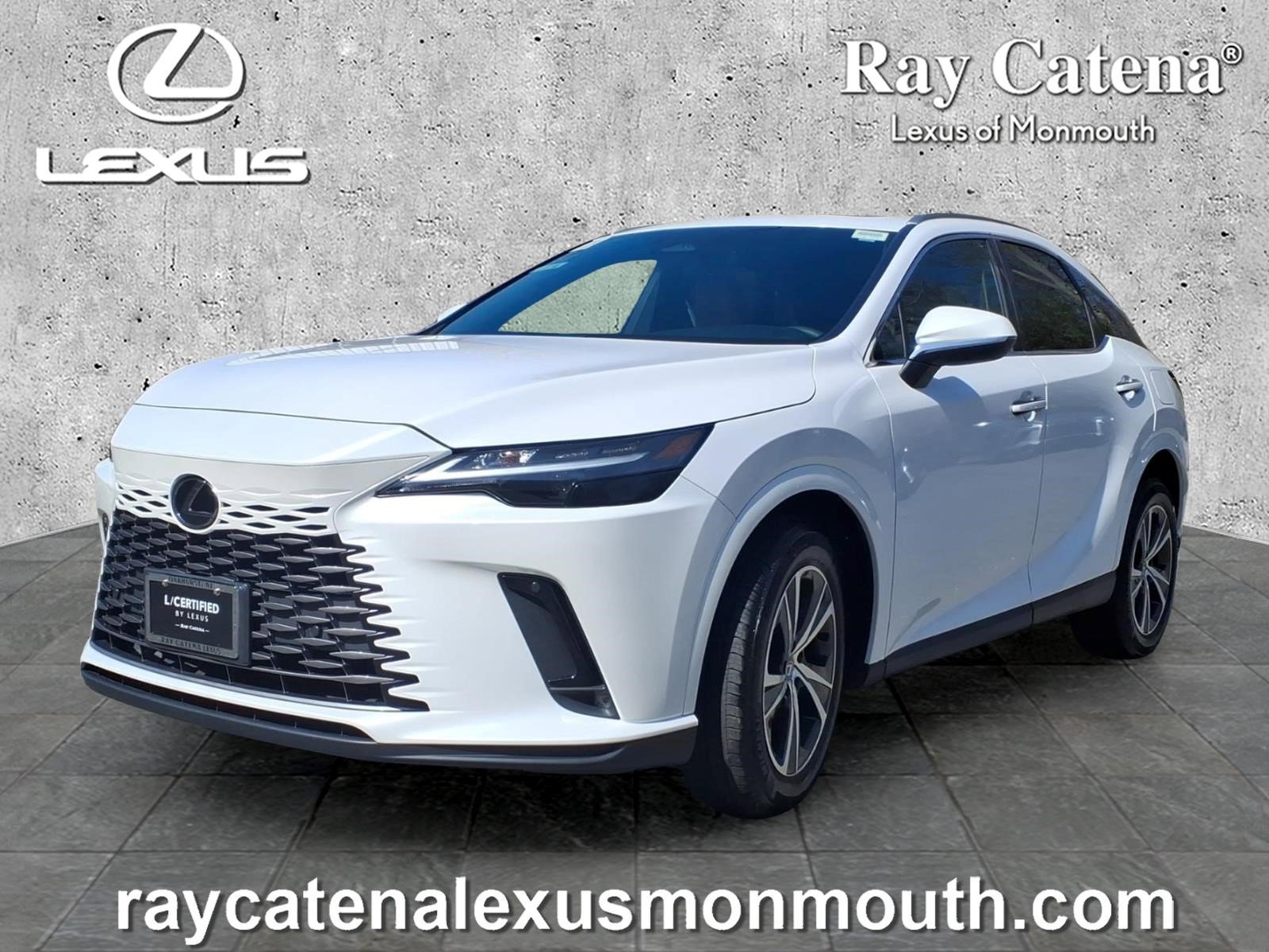 Used 2023 Lexus RX 350 Premium w/ Cold Area Package image 3