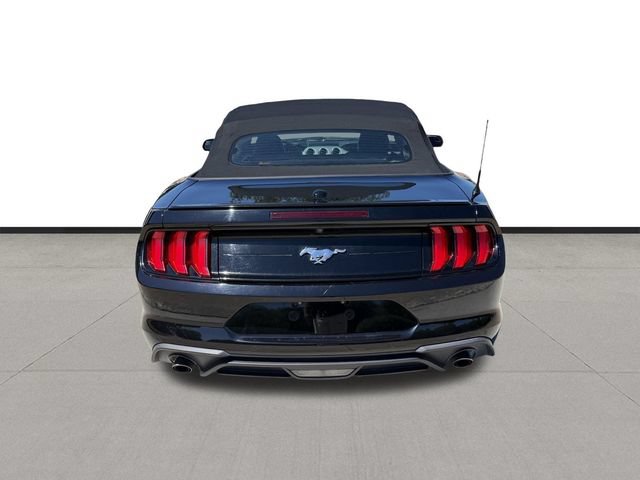 Used 2019 Ford Mustang Premium RWD image 6