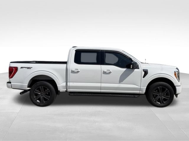 Used 2023 Ford F150 XLT w/ Equipment Group 302A High AWD/4WD image 6
