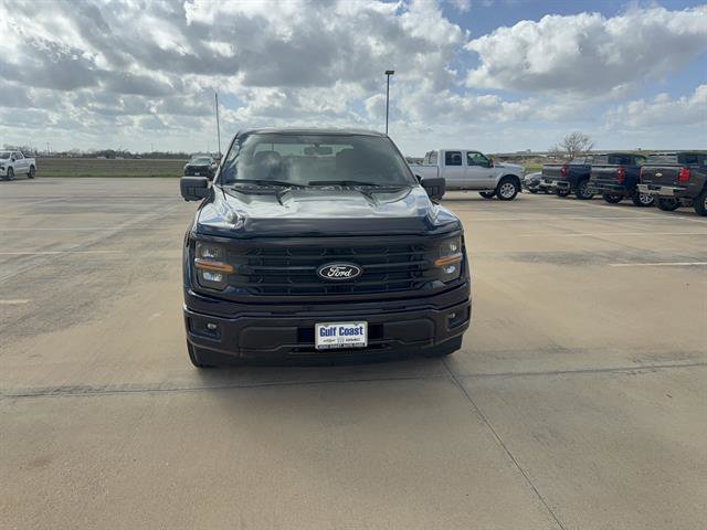 Used 2024 Ford F150 XLT w/ XLT Black Appearance Package image 9