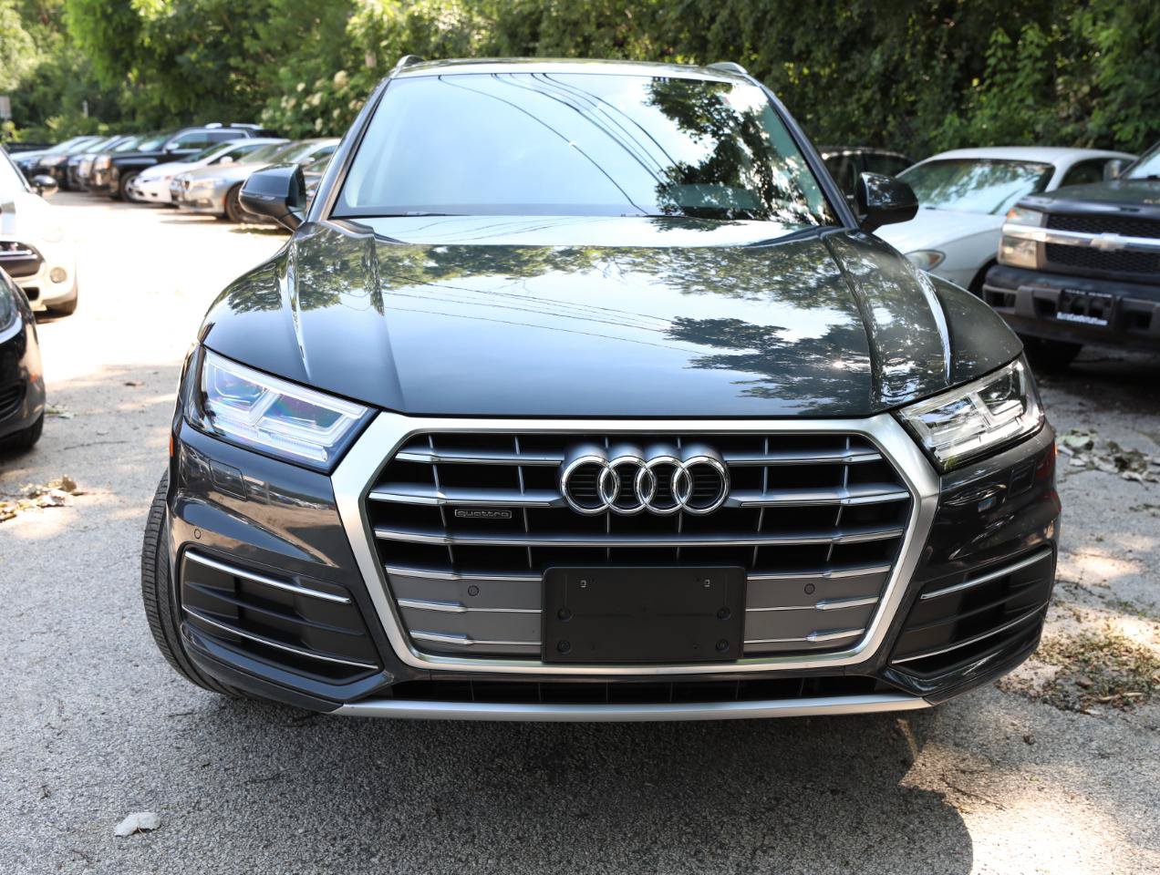 Used 2020 Audi Q5 2.0T Premium Plus w/ Premium Plus Package AWD/4WD image 3