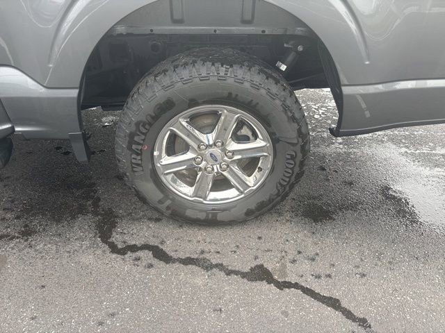 Used 2025 Ford F150 XLT w/ Equipment Group 301A Standard image 12