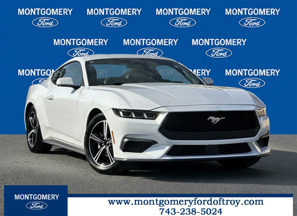 Used 2024 Ford Mustang Premium image 1