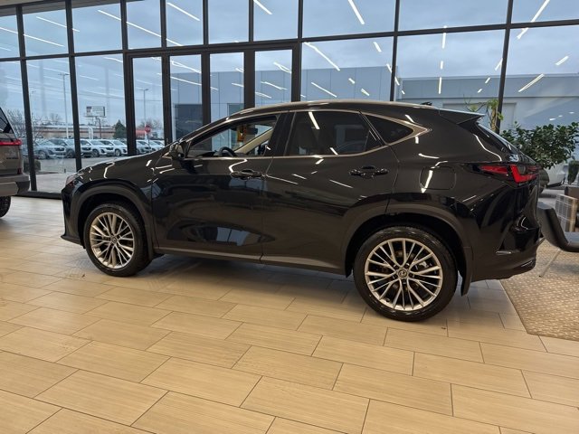 New 2026 Lexus NX 350 AWD w/ Luxury Package image 9
